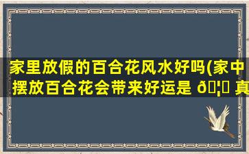 家里放假的百合花风水好吗(家中摆放百合花会带来好运是 🦈 真的吗)